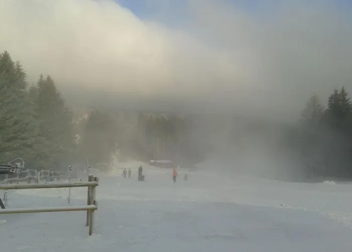 Steinmaennchen 戈斯拉尔