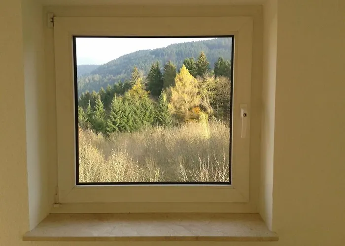 Steinmaennchen 公寓 戈斯拉尔